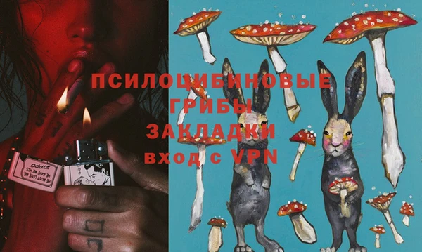 СК Инсар