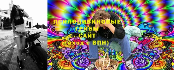бошки Каменногорск