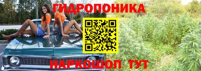 сатива Волжск