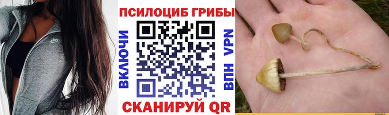 Галлюциногенные грибы MAGIC MUSHROOMS  Железногорск 
