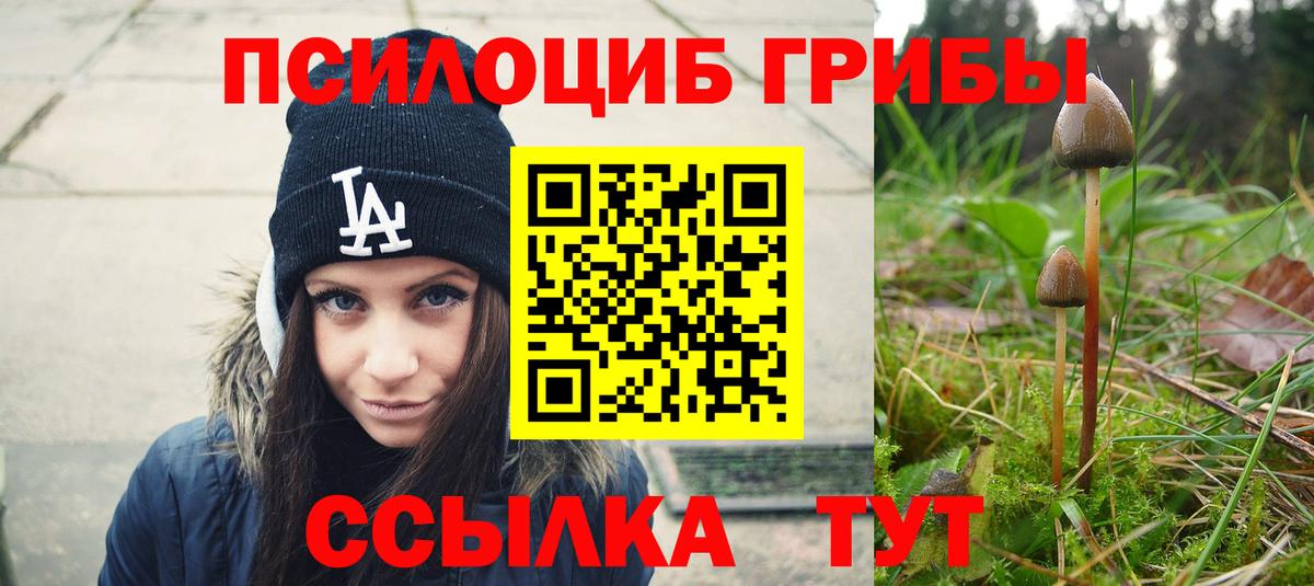 Псилоцибиновые грибы Psilocybe Железногорск