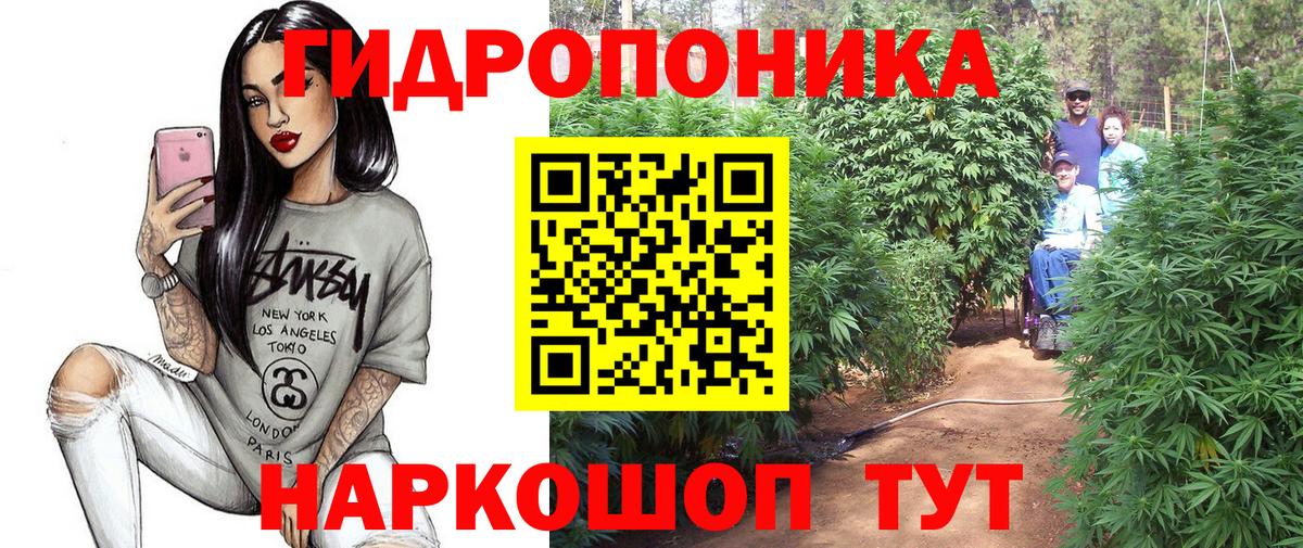 Бошки марихуана THC 21% Железногорск